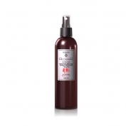 Спрей термозащита для гладкости и беска волос с маслом Бораго, коллагеном и кератином, 250 мл., RicHair EGOMANIA PROFESSIONAL COLLECTION
